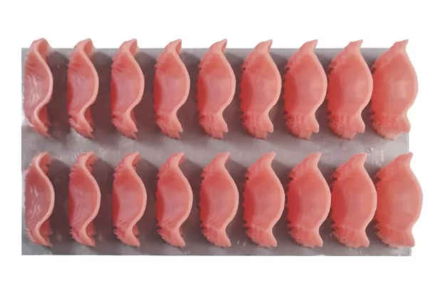 Base de prothèse dentaire