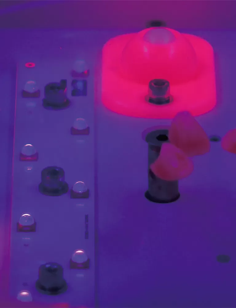 Élevez vos impressions 3D avec des solutions professionnelles de post-traitement RAYSHAPE