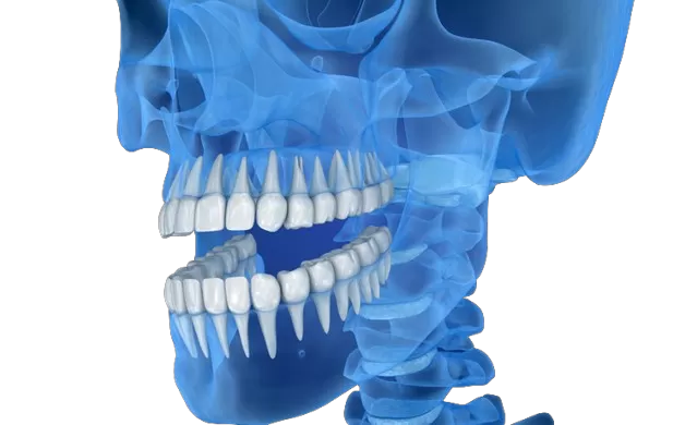 Transformer la précision dentaire avec les imprimantes 3D RAYSHAPE